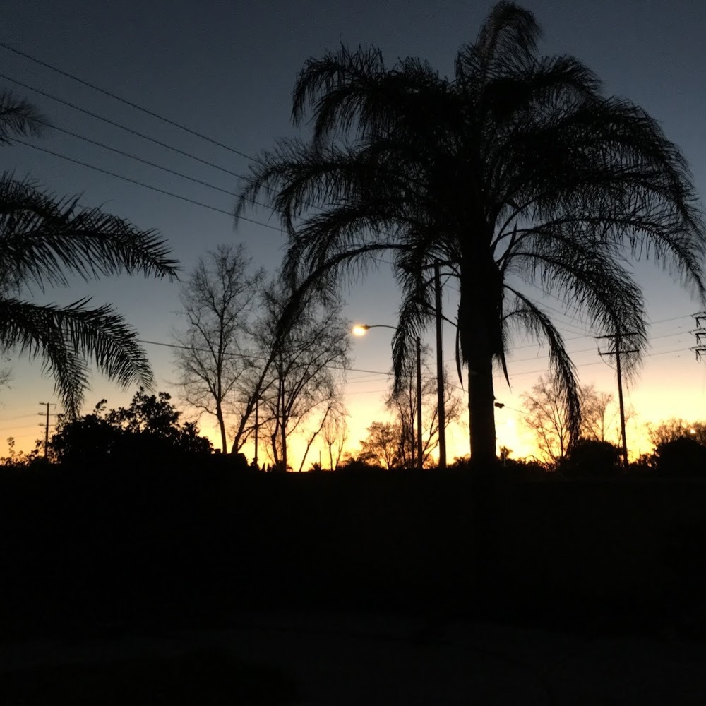 Meet your Posher, Joey